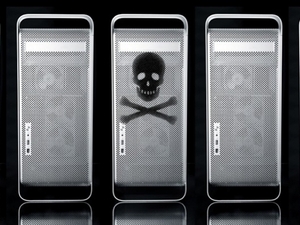 serverskulls header